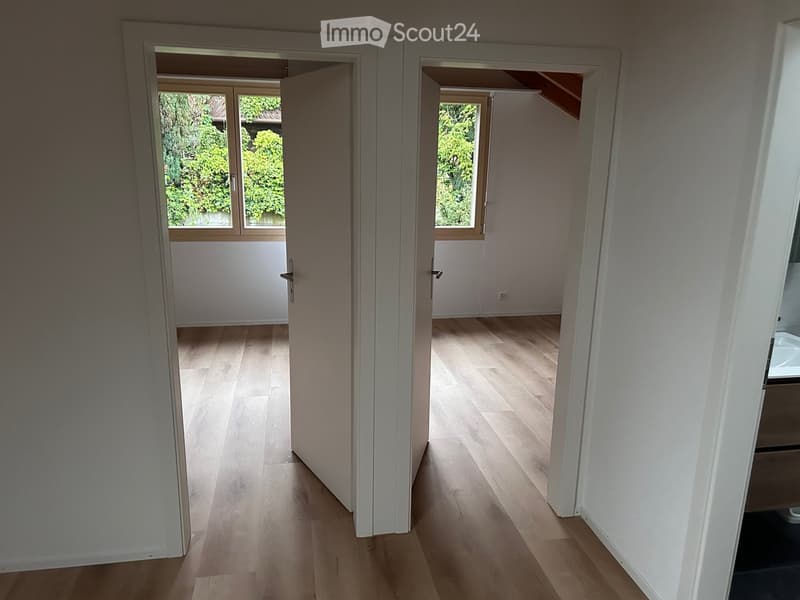Empty room with wooden floor, white walls, two open doors, and windows with view of trees outside