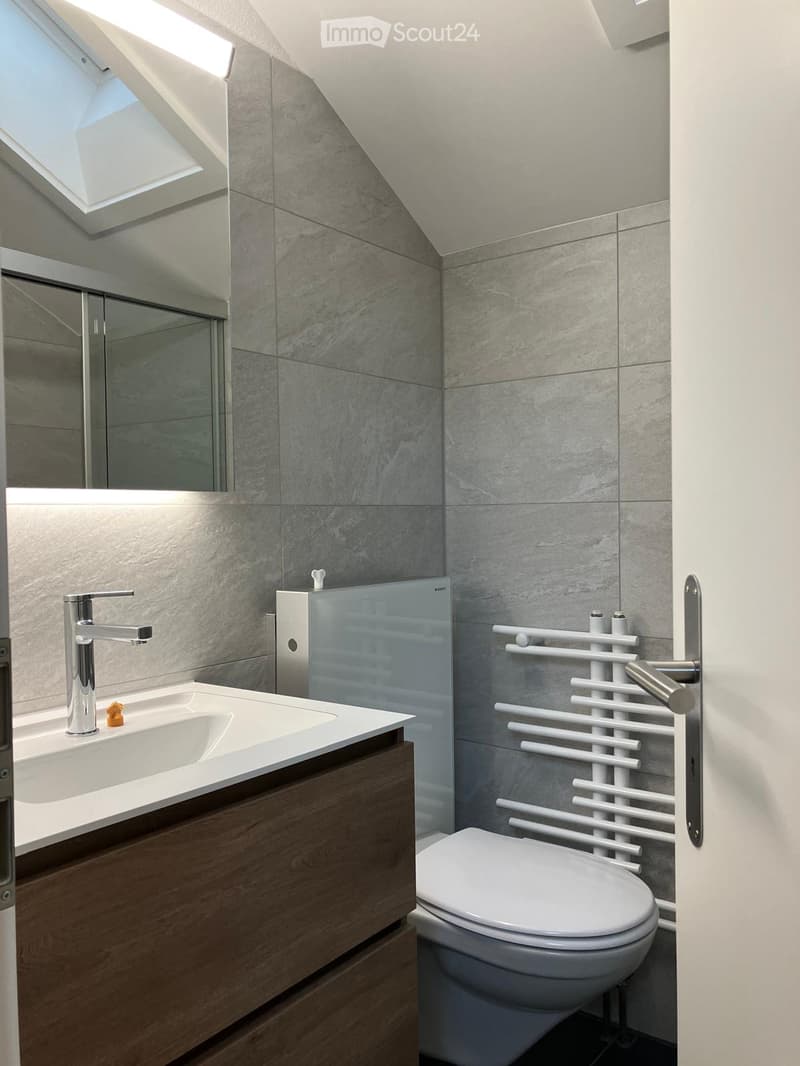 Modern bathroom with grey tiled walls, a white sink with a chrome faucet, a toilet, a towel rack, and a large mirror above the sink. The room features a skylight window for natural light.