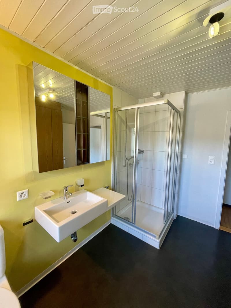 Modern bathroom with a white sink, chrome faucet, large mirror, and a glass-enclosed shower stall. The walls are painted in a light green color, and the floor is dark grey.