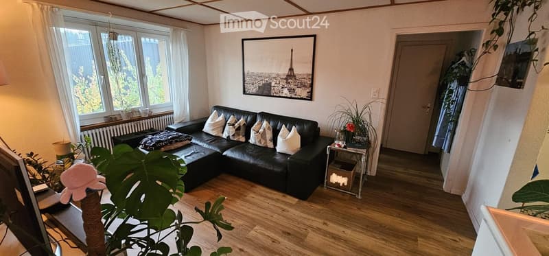 L-shaped sofa, picture frame with picture of Paris, wooden floor, several potted plants