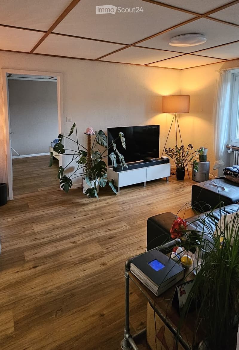Open living room with hardwood floor, white walls, ceiling light, flatscreen TV, couch, various plants, radiator, and window.