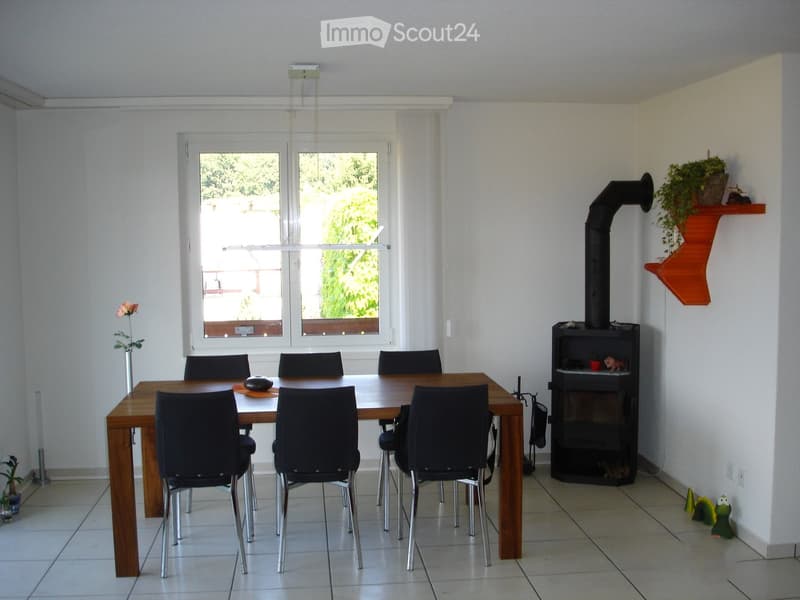 Bright dining area with a wooden table, six chairs, a fireplace, and a decorative shelf with plants.
