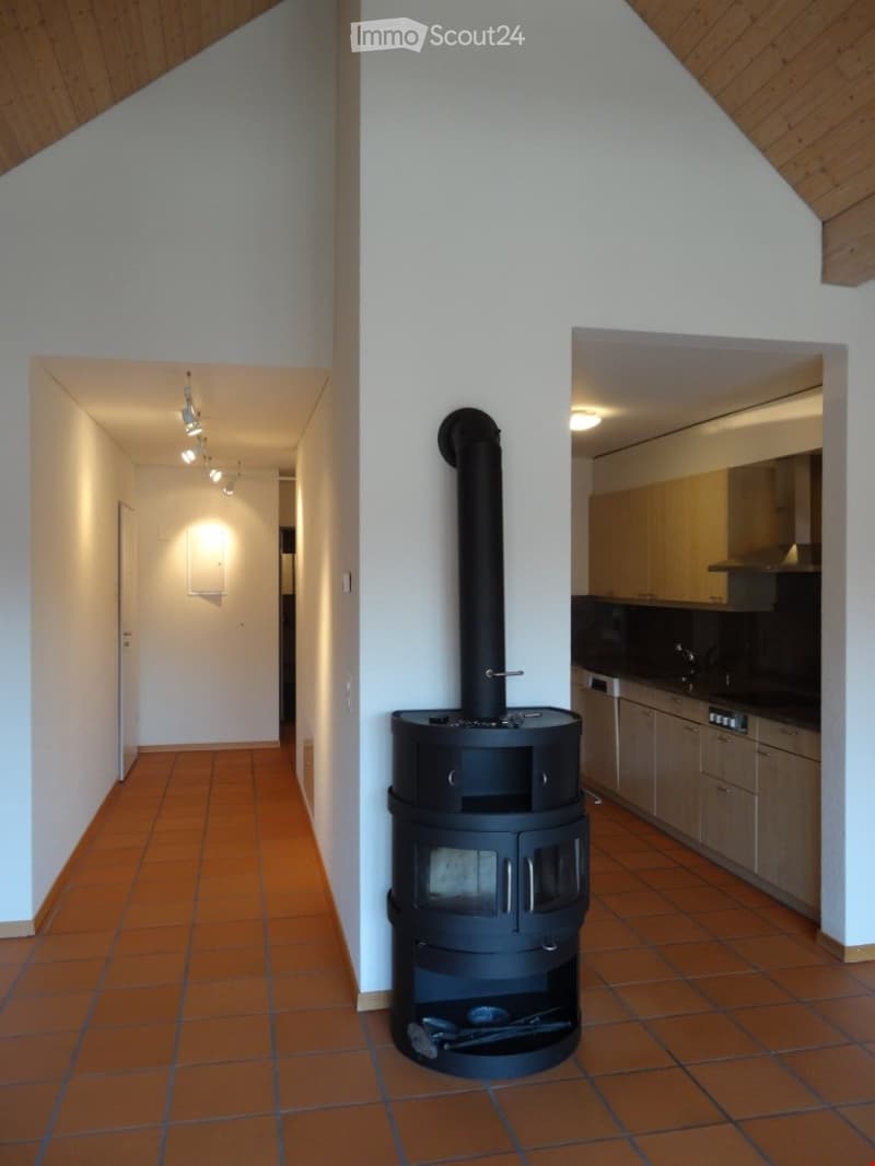 Hallway with wooden ceiling, terracotta tiles, recessed lighting, and a modern wood-burning stove with chimney.