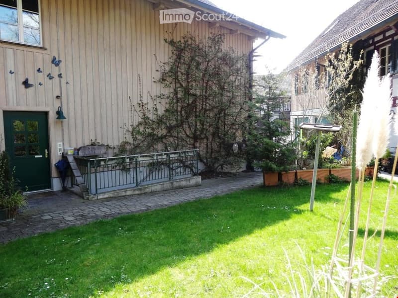 Garden area with green grass, small pathway, wooden house with green door, climbing plants, and decorative elements.