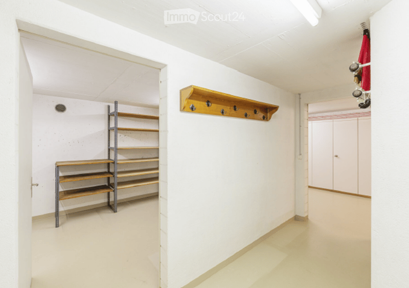 Empty hallway with white walls, wooden floor, coat rack, and metal shelving unit.