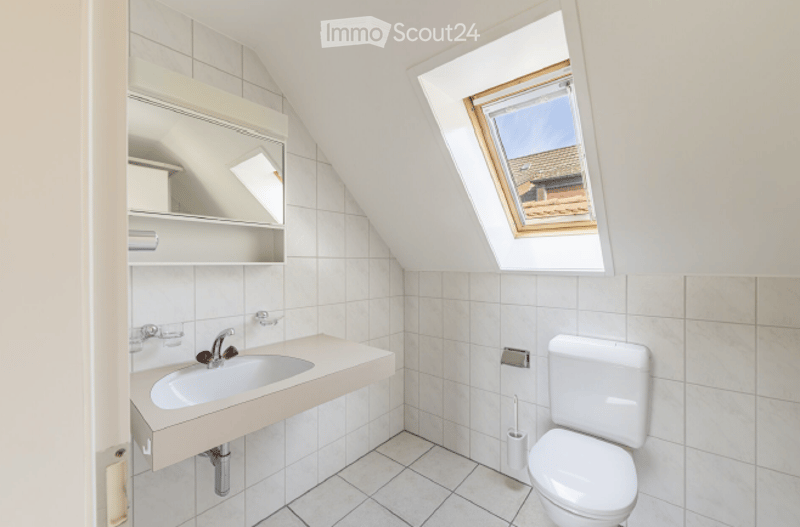 Bright, compact bathroom with white tiled walls and floor, a corner sink with a modern faucet, a full-length mirror with built-in storage, and a toilet. A skylight window provides natural light.
