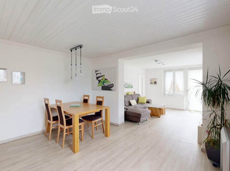 Open-plan living and dining area with light wood flooring, white walls, a grey sofa, a wooden dining table with four chairs, and a large potted plant near the window.