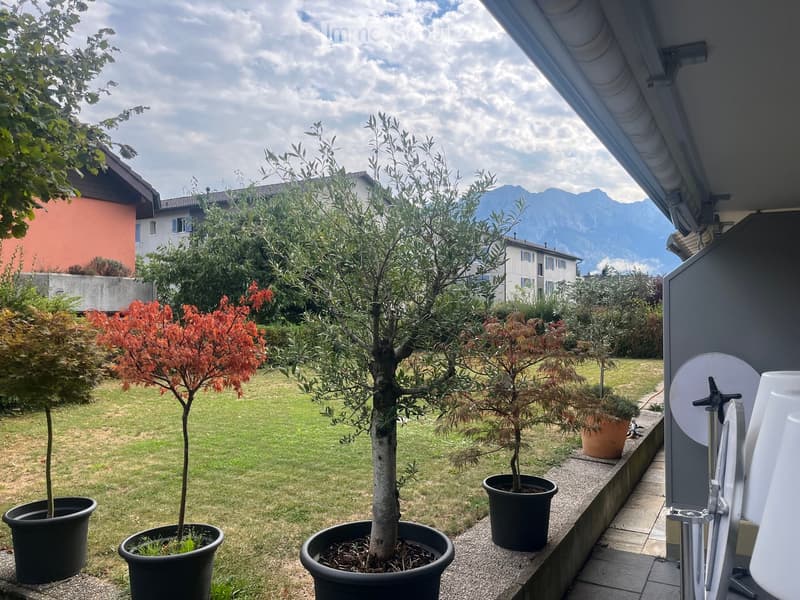 Garden area with potted trees, grass, and a view of mountains in the background.