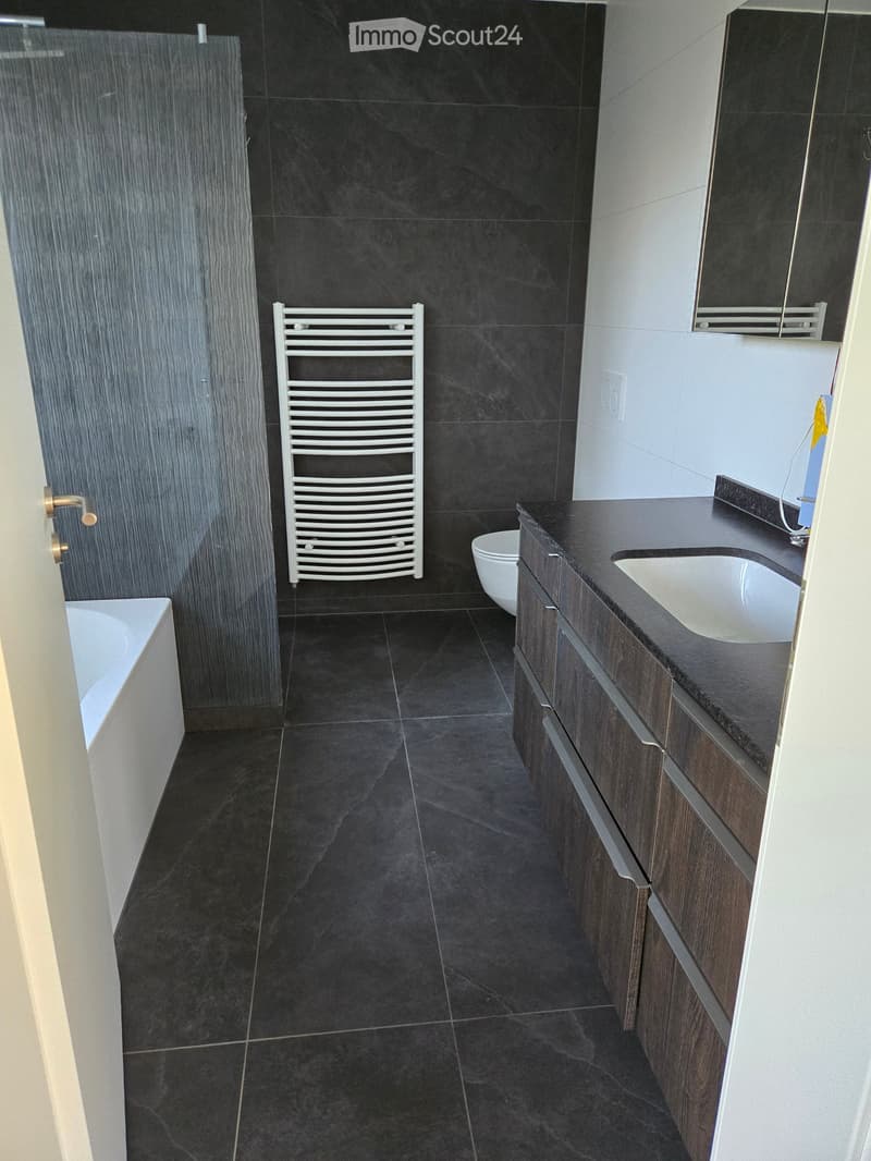 Modern bathroom with dark tiled walls and floor, featuring a bathtub, toilet, sink with mirror, and a towel rack.