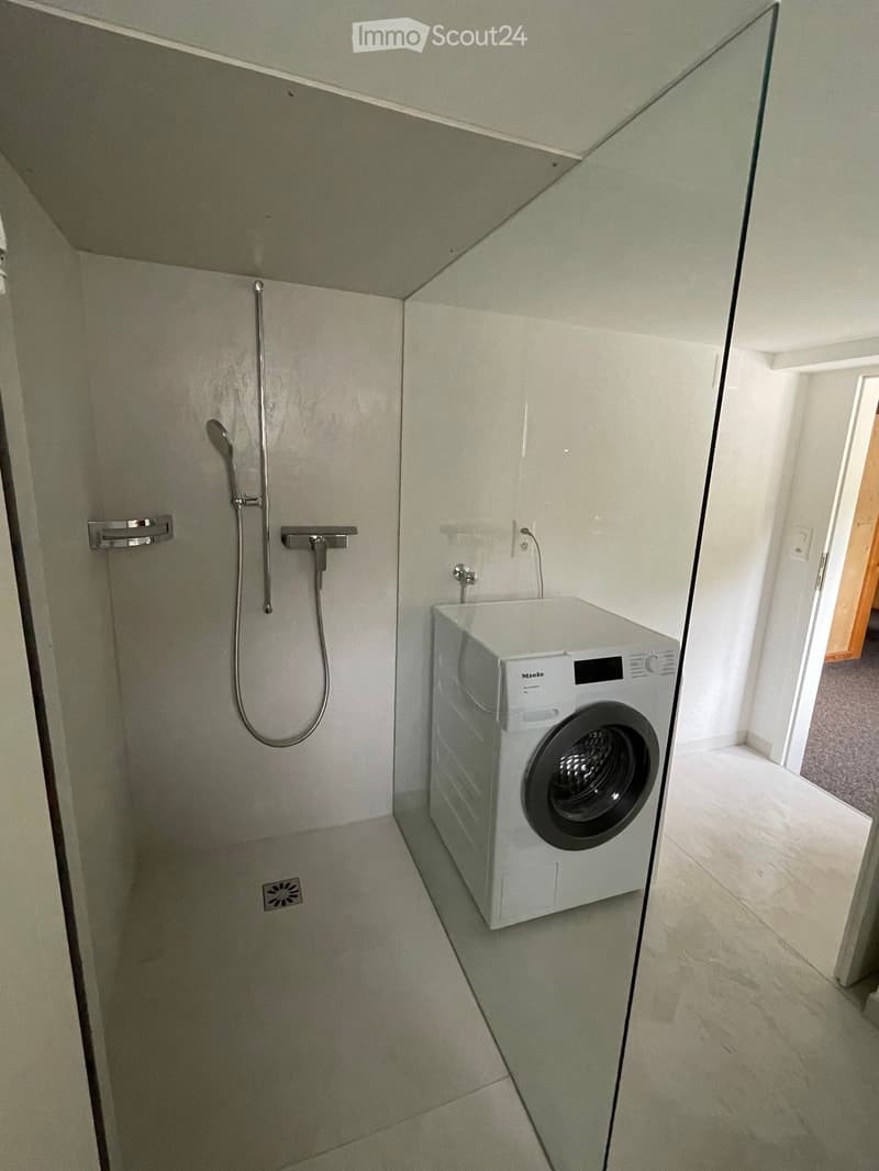 Modern bathroom with a built-in shower and a private washing machine. The shower features a handheld sprayer and a fixed showerhead, with a sleek, minimalist design.