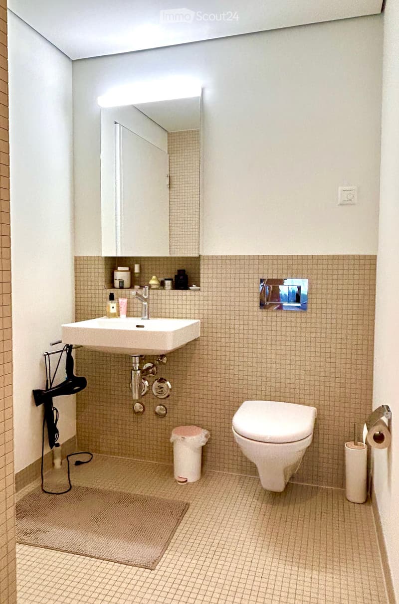 Modern bathroom with beige tiled walls and floor, white sink, toilet, mirror, and cabinet. Includes a hair dryer, trash can, and a small rug.