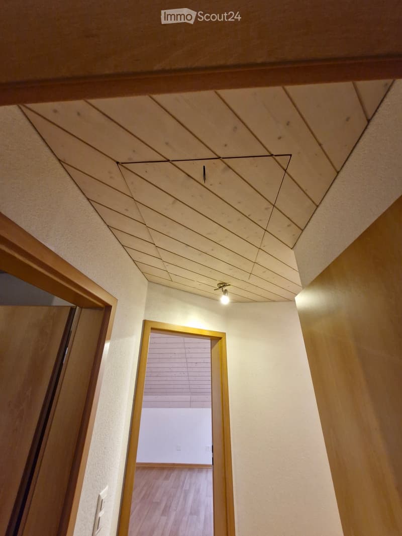Hallway with wooden ceiling, light fixture, and open doorway leading to another room with wooden flooring.