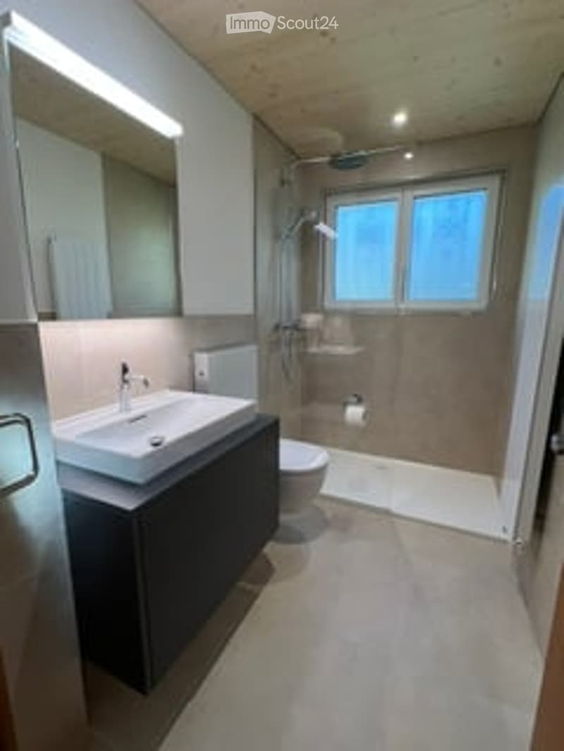 Modern bathroom with a white sink, large mirror, toilet, and a shower area with a glass enclosure. The walls are painted in a neutral tone, and the floor is tiled.