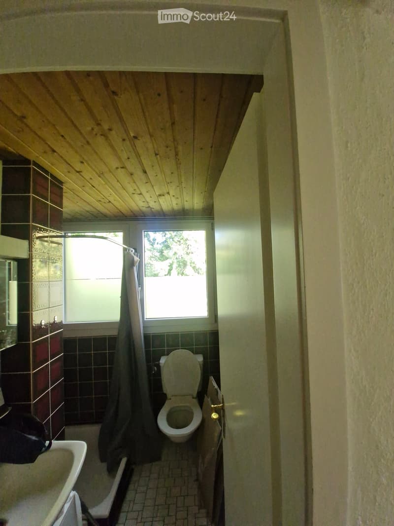 Small bathroom with a toilet, bathtub, and shower curtain. The room has dark tiled walls and a wooden slanted ceiling.