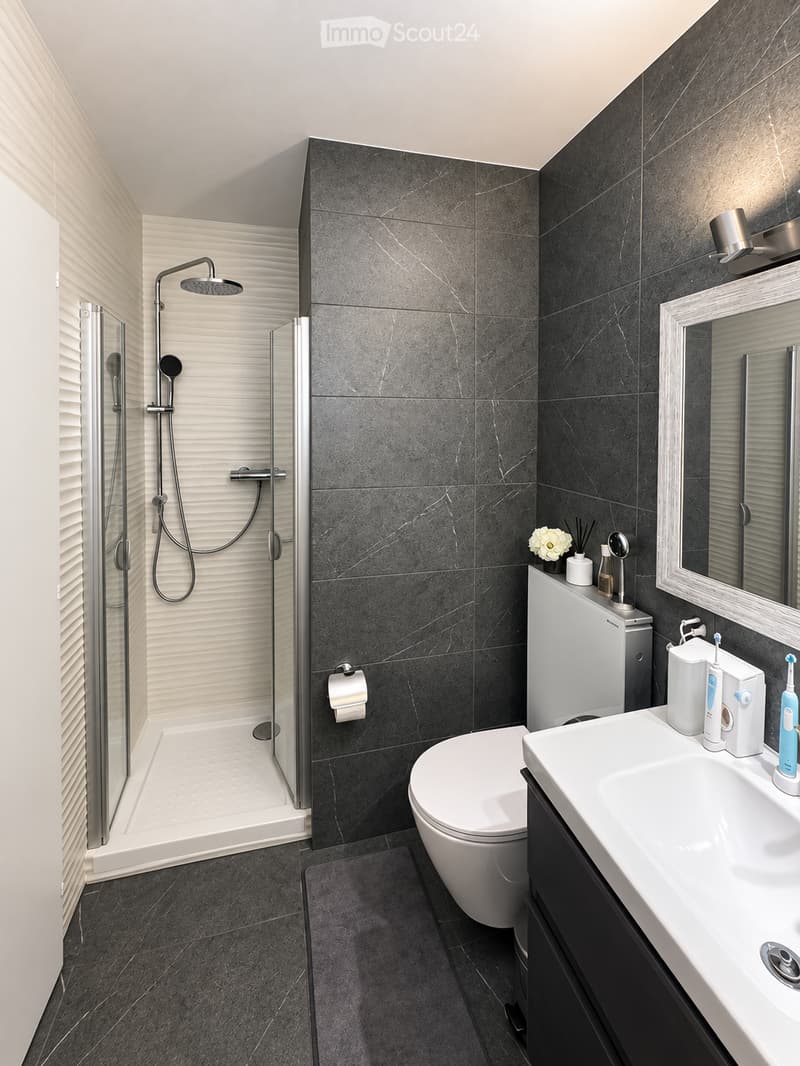Modern bathroom with dark grey tiles, white fixtures, a glass-enclosed shower, a toilet, a sink with a mirror, and a toothbrush holder on the counter.