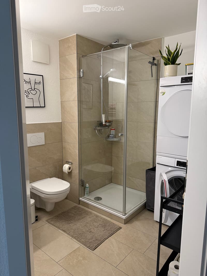 Modern bathroom with a glass-enclosed shower, toilet, washing machine, and decorative plant on top.