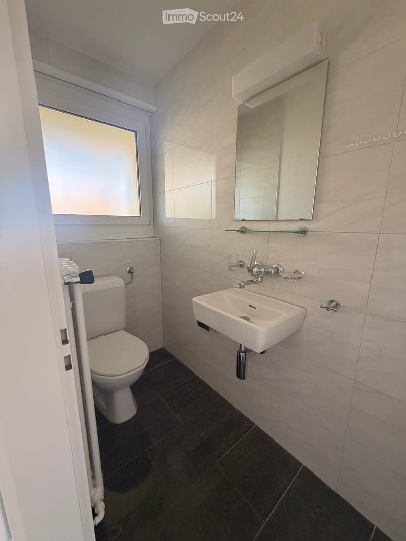 Modern bathroom with white tiles, a toilet, a sink with a modern faucet, a mirror, and a glass shelf above the sink.