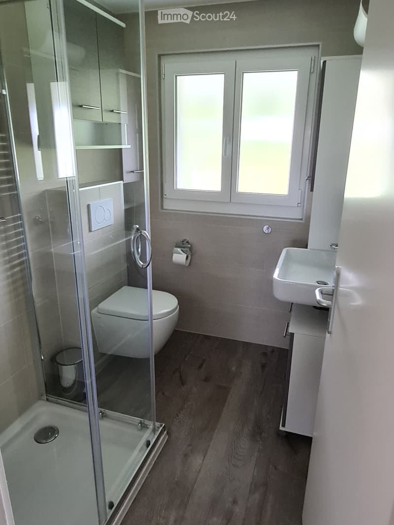 Modern bathroom with a glass-enclosed shower, toilet, sink, and built-in cabinet. The floor is wooden, and the walls are tiled.
