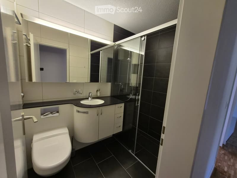 Modern bathroom with a toilet, sink, mirror, and a glass-enclosed shower. Features light-colored cabinets and dark tiles.