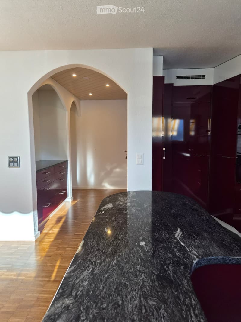 Modern kitchen with dark granite countertop, wooden floor, and dark red cabinets.