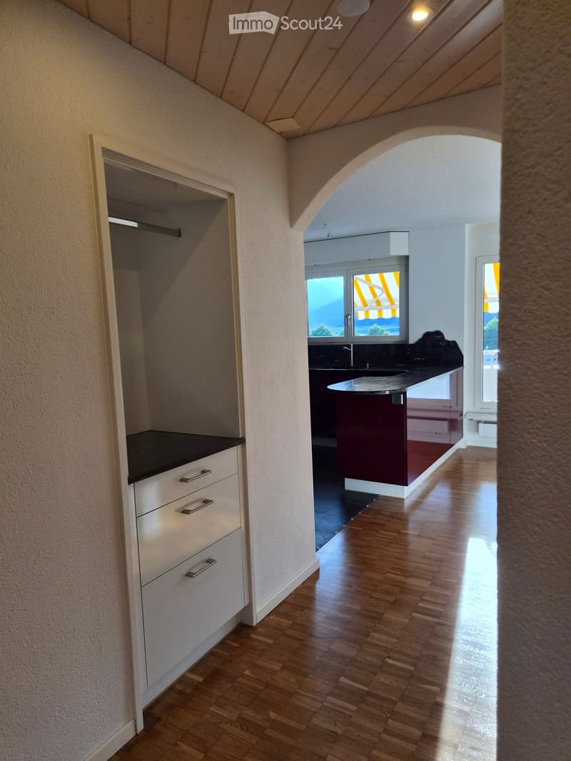 A narrow hallway with wooden flooring, white walls, and built-in cabinets on one side. The hallway leads to a kitchen area with a dark countertop, sink, and cabinets.