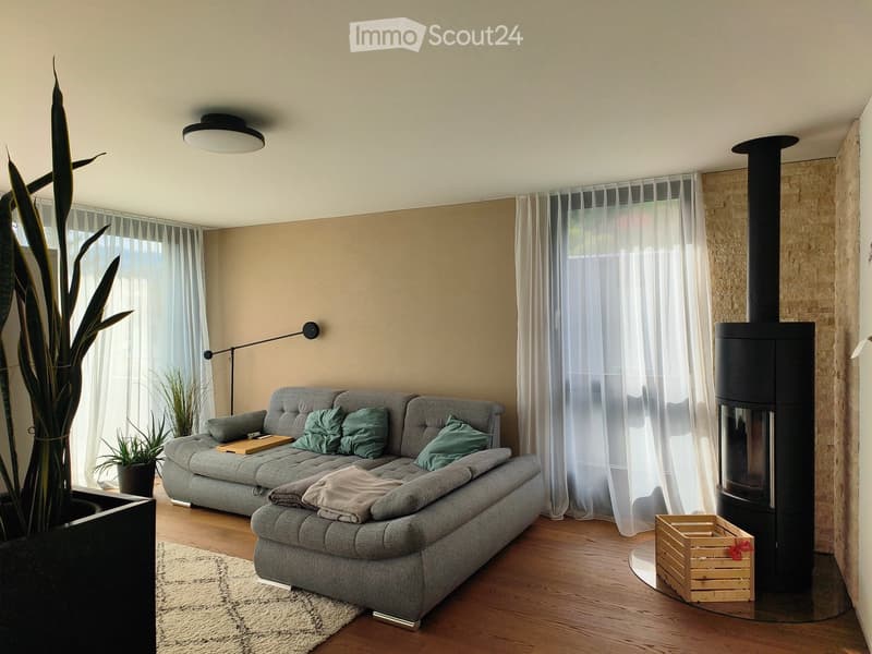 Modern living room with a grey sectional sofa, pillows, a blanket, a table lamp, a potted plant, and a wooden crate near a black wood-burning stove.