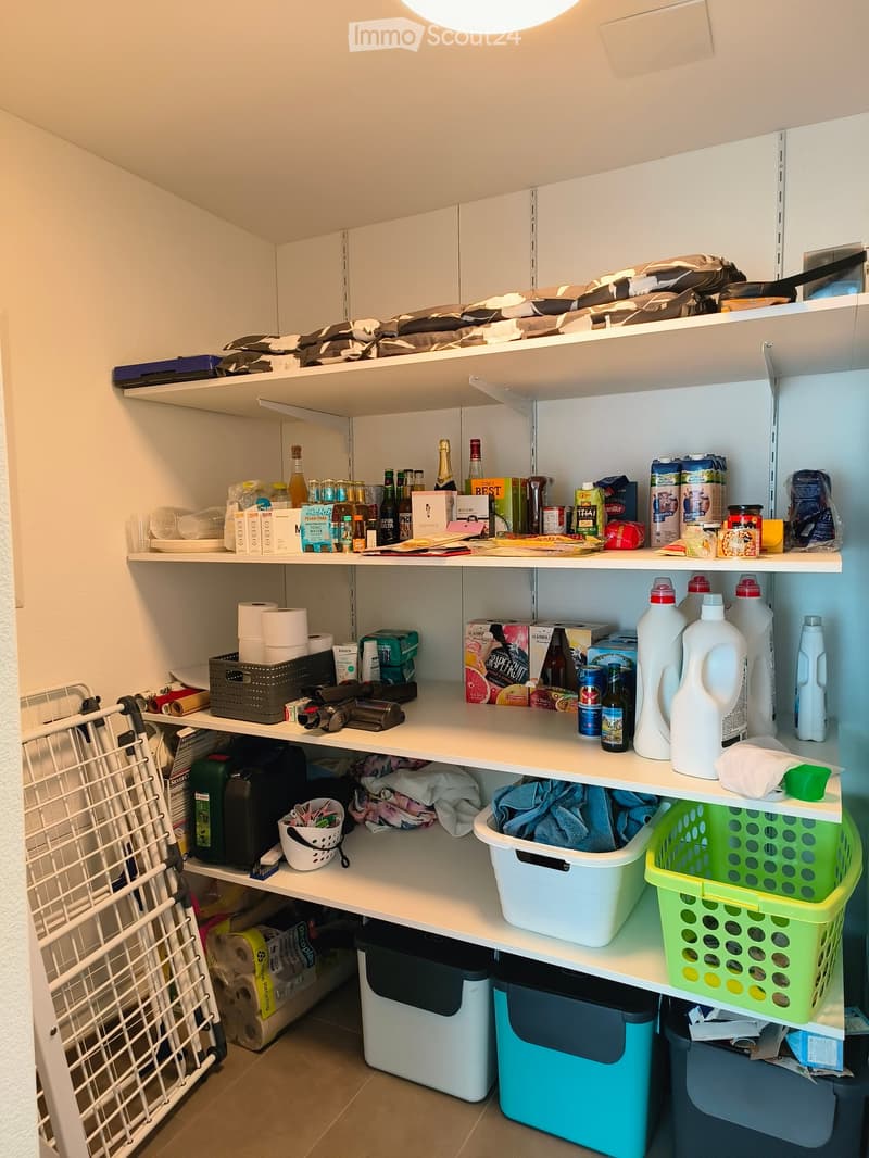 Well-organized pantry with multiple shelves holding various food items, cleaning supplies, and storage bins. Includes a shopping cart on the left side.