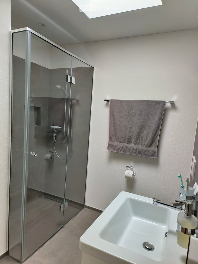 Modern bathroom with a white sink, glass-enclosed shower, towel, and toiletries.