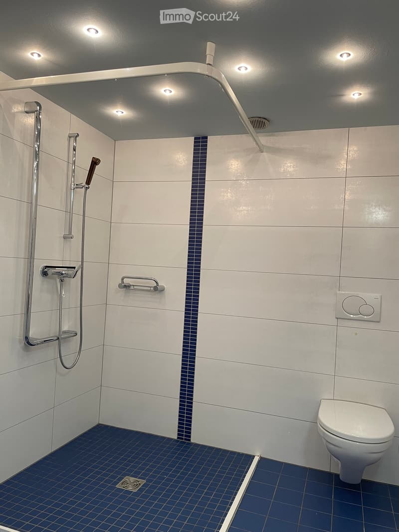Modern bathroom with white tiles, blue accent tiles, a toilet, a shower with a handheld sprayer, and a built-in handrail for accessibility.