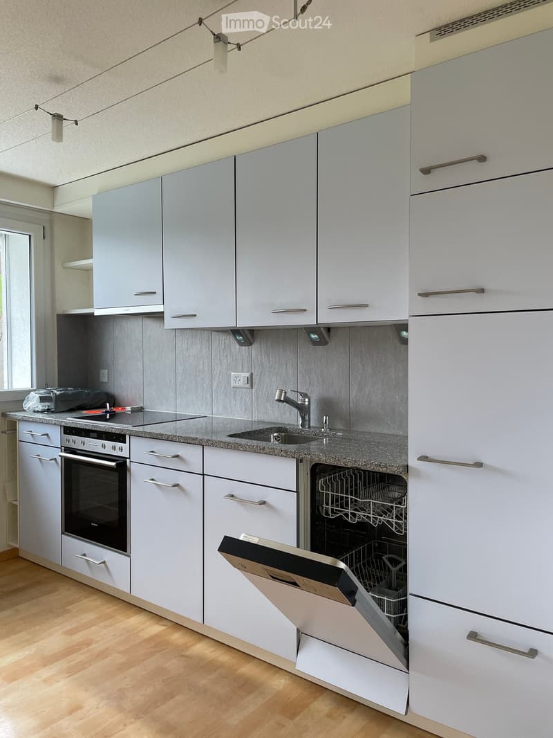 Modern kitchen with light grey cabinets, granite countertop, stainless steel oven, dishwasher, and sink.