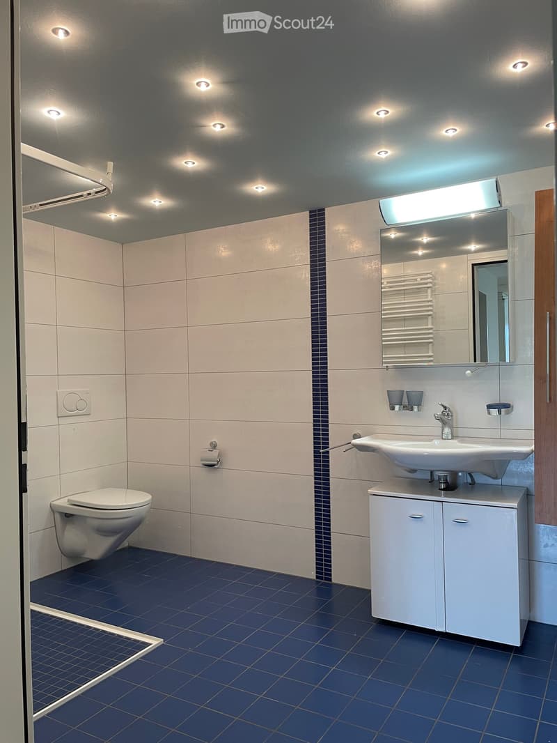 Modern bathroom with blue tiled floor, white tiled walls, a toilet, a sink with a cabinet, a large mirror, and a towel rack.
