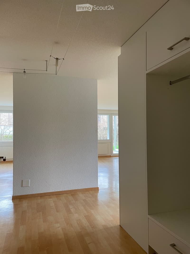 Modern hallway with light wooden flooring, white walls, built-in closet with open shelving, and a modern light fixture hanging from the ceiling.