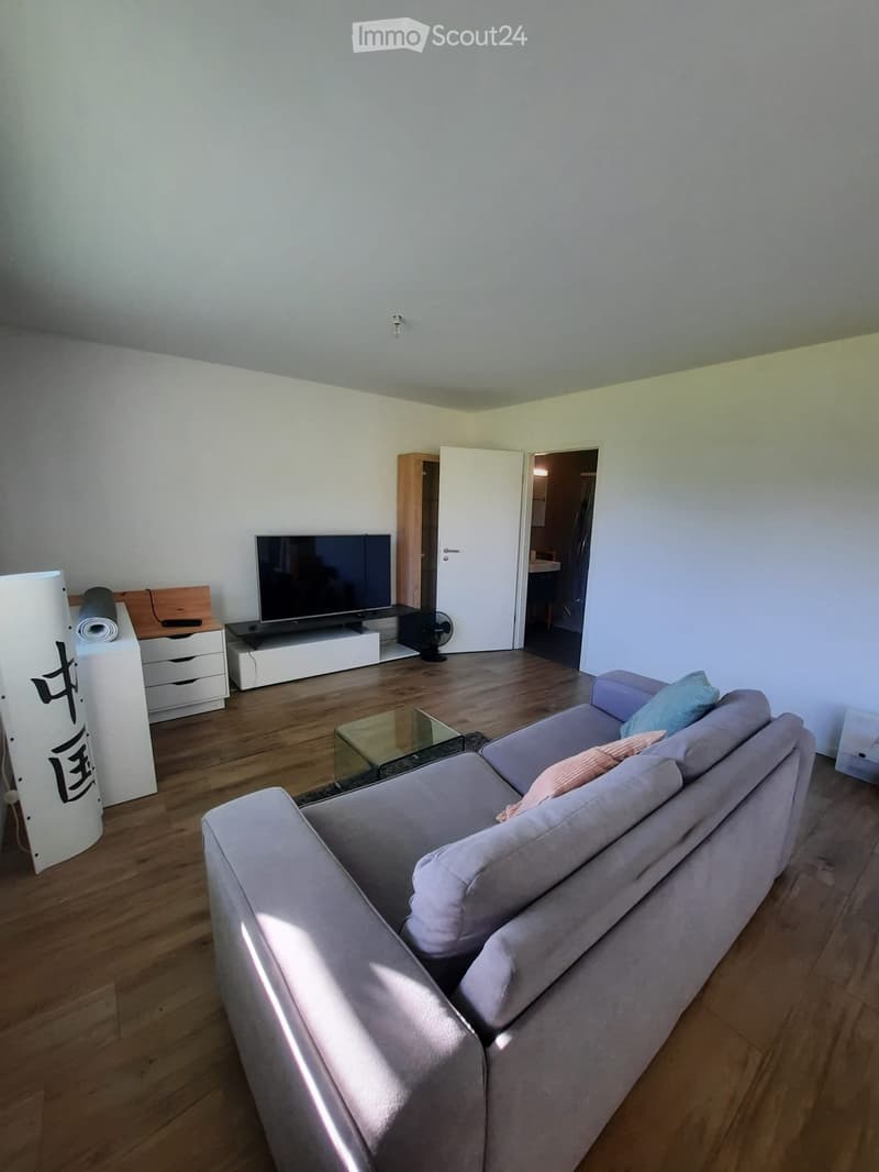 Modern living room with light-colored walls, wooden flooring, a grey sectional sofa, a glass coffee table, a flat-screen TV on a white stand, and a small drawer unit.