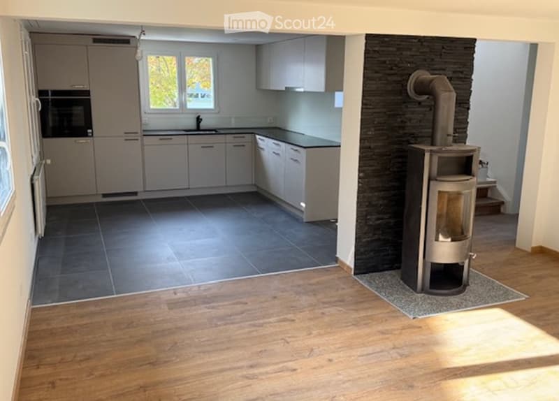 Modern kitchen with grey cabinets, a sink, an oven, and a wood stove in the corner.