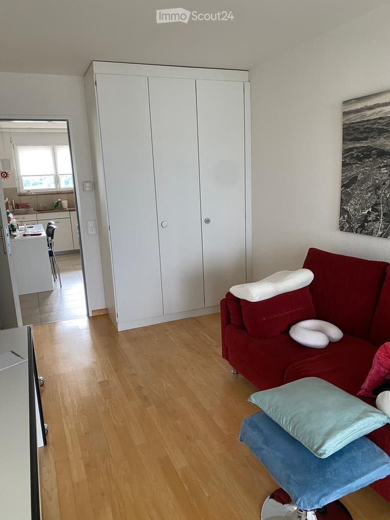A modern living room with a red sofa, multiple pillows, a white built-in wardrobe, a small table with chairs, and a view into a kitchen area.