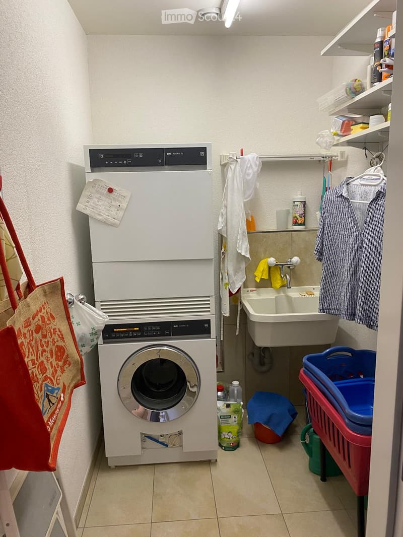 Laundry area with a washing machine, dryer, sink, and various laundry items.