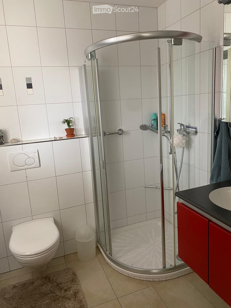 Modern bathroom with white tiles, a glass-enclosed shower, a toilet, a sink with red cabinets, and a small plant on the windowsill.