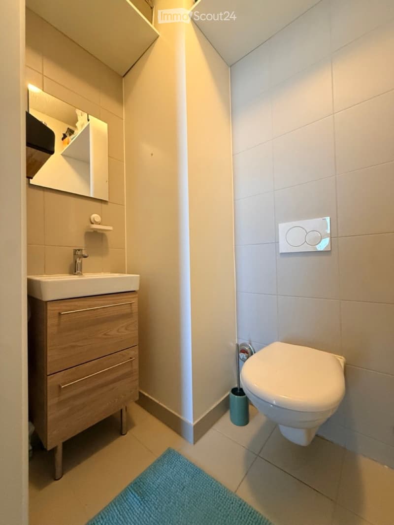 Modern bathroom with a white sink, wooden cabinet, mirror, toilet, and a blue bath mat on the floor.