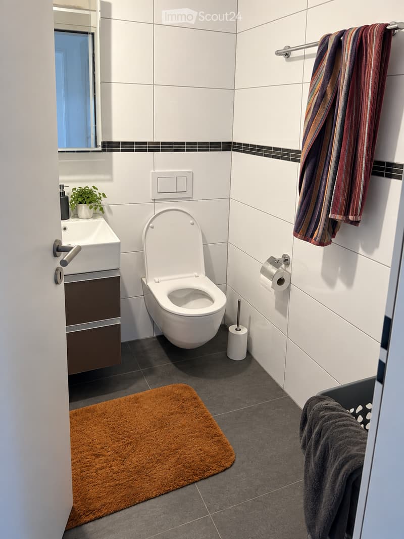 Modern bathroom with white tiles, a toilet, sink, mirror, towel rack, and a small plant on the sink counter.