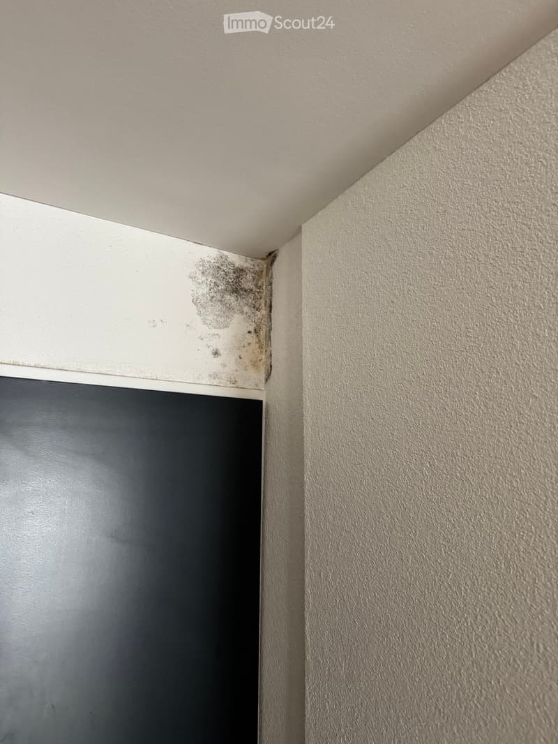 Empty room corner showing a dark, rectangular object (possibly a TV or screen) mounted on a white wall with visible mold or stain near the ceiling corner. The adjacent wall is textured and light-colored.