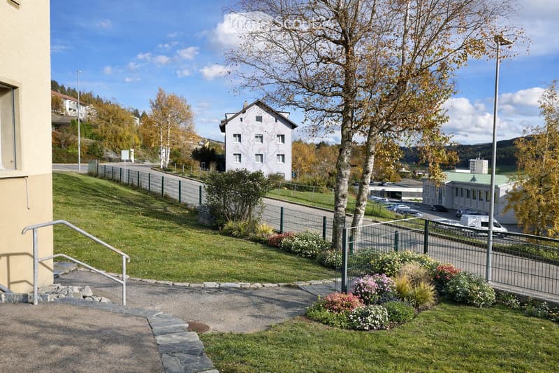 A well-maintained garden area with a metal fence, steps leading up to a building, and various flowering plants and shrubs.