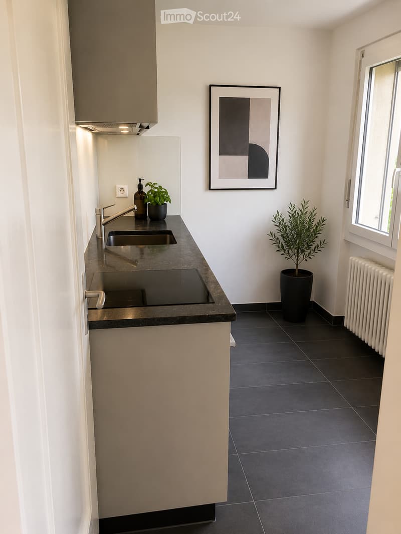 Modern kitchen with dark countertops, stainless steel sink, induction cooktop, potted plants, framed artwork, and radiator.