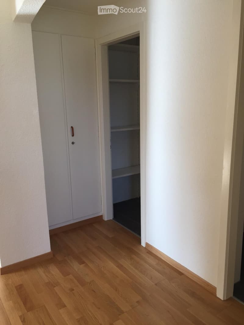 Empty hallway with wooden flooring, white walls, and a closed door leading to a closet with empty shelves.
