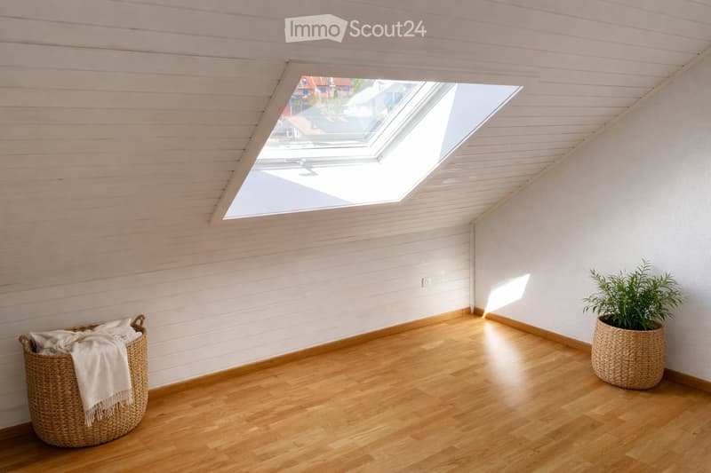 Bright, minimalist room with wooden flooring, white paneled ceiling, skylight windows, and a small potted plant in a woven basket.