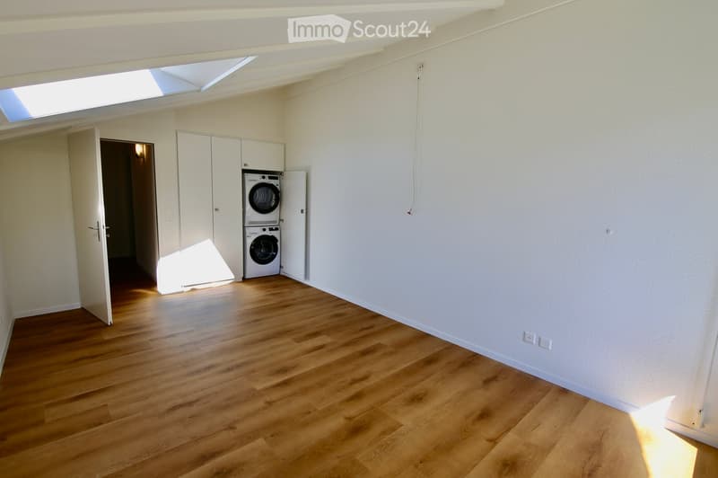 Empty room with wooden flooring, white walls, and a skylight window. A closet with a washing machine and dryer is visible in the background.