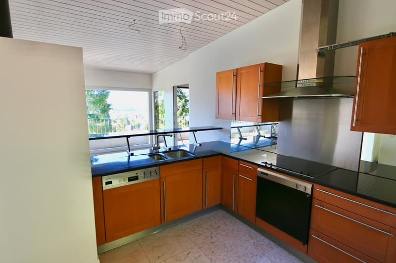 Modern kitchen with wooden cabinets, stainless steel appliances, and a black countertop. Features a sink, dishwasher, oven, and range hood. Large windows provide natural light and a view of the outdoor area.