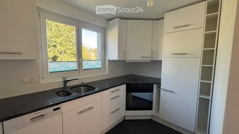 Modern kitchen with white cabinets, black countertops, and stainless steel appliances including a sink, oven, and dishwasher.