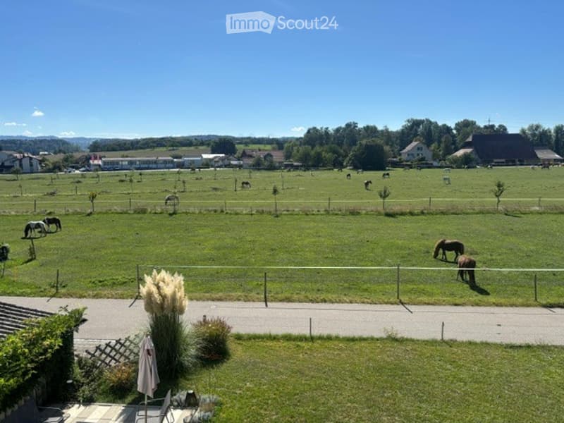 A peaceful countryside view with a fenced area, several horses grazing, and a paved pathway leading to a garden with plants and an umbrella.