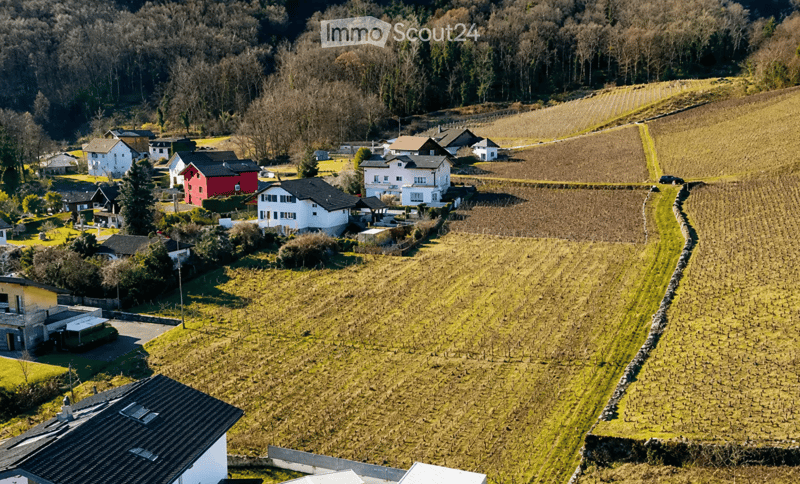 Aerial view of a rural village with multiple houses, surrounded by fields and trees.