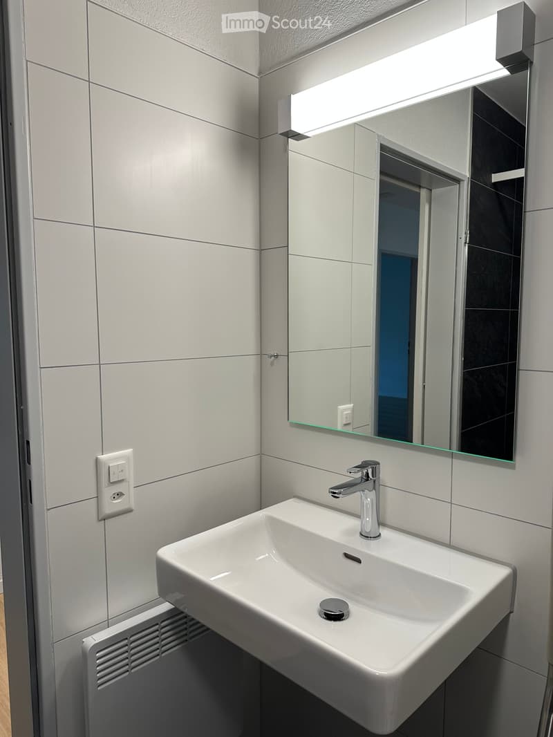 neu sanierte, grosse, sonnige 4.5-Zi-Erdgeschoss-Wohnung mit Gartenterrasse (rollstuhlgängig) (9)